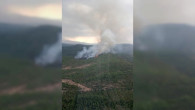 Köyceğizde Orman Yangını Çıktı