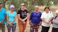 Limak- İçtaş Akbelen’de sondaj ve zeytin sayımına başladı köylü isyan etti, nöbete başladılar