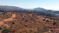 Bodrum yarımadasında toptan satamadıkları   1 milyon m2 araziyi, parça parça satışa çıkardılar.