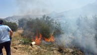 Bodrum Makilik alan yangını