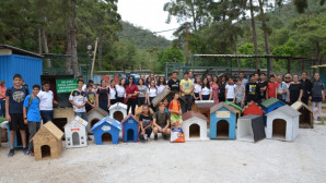 Sahipsiz köpekler ev sahibi oldu.