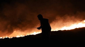 DATÇA ORMANLARI YANIYOR !