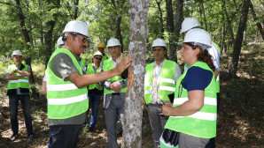 İran Ormancıları Muğla’da Trüf Mantarı Çalışmalarını İnceledi