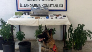 Köyceğiz’de Uyuşturucu Operasyonu