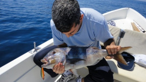 Deniz avına sıkı denetim