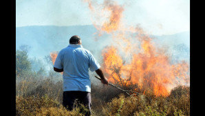GÜMÜŞLÜKTE YANGIN