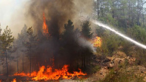 KÖYCEĞİZ’DE ORMAN YANGINI BAŞLADI