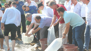 Köyceğiz Gölü’ne 180 Bin Yavru Sazan Bırakıldı
