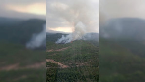 Köyceğizde Orman Yangını Çıktı