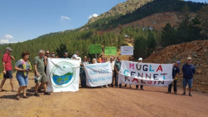 Ormanlık alan maden ocağı için talan edilecek