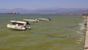 Behçet Saatcı : Fethiye körfezi Büyükşehir tarafından kirletilmiştir.