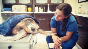 “Hiçbir Teşekkür Bu Kadar Anlamlı Olmamıştı”