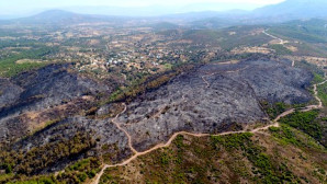 Cennet Küle Döndü