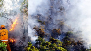 MİLAS AKGEDİK BARAJINDA ORMAN YANGINI