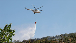BU SEFER ORMANLARI YILDIRIM YAKTI