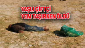 YAŞLI ÇİFTÇİ YEM TAŞIRKEN HAYATINI KAYBETTİ