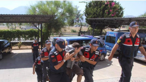 KEDİ MAMASINDA UYUŞTURUCU