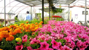 Marmaris Belediyesi’nden büyük tasarruf!