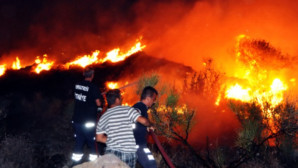 Turgutreis Yangını Sabaha Kadar Devam Etti.