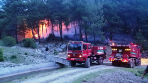Muğla’da Orman Yangınları