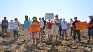 Milas’ta Ormanların Kesilmesini Durdurun