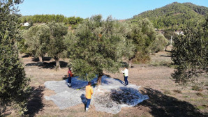 ZEYTİNYAĞI İLE DE TANINACAK