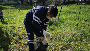 PETBULANCE EKİBİ 7/24 GÖREVDE