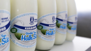 HALK SÜT YENİDEN EVLERDE