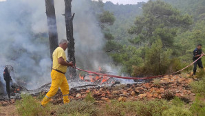 Muğla’da 12 günde 48 Yıldırım Yangını
