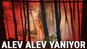 Alevler yine yükseldi Marmaris -Datça yolu kapatıldı