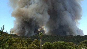 BİR YANGIN DA MARMARİS TE ,HIZLA DEVAM EDİYOR 