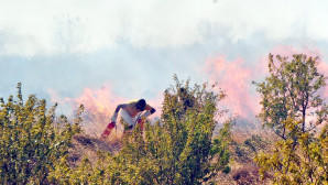 Bodrum yangını Gökova’ya doğru ilerliyor