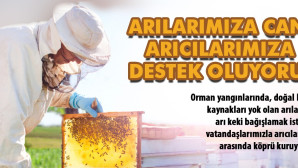 Büyükşehirden Arıcılara Destek Kampanyası