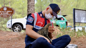 JANDARMA SOKAK HAYVANLARINA SEVGİ GÖSTERDİ