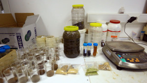 Muğla’da üreticiler bilinçli üretim yapıyor