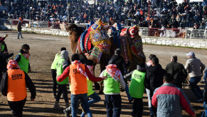 Deve Güreşi Festivali, renkli görüntülere sahne oldu