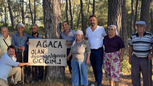 CHP’li Erbay: “Muğla’yı talan projelerinizden vazgeçin “