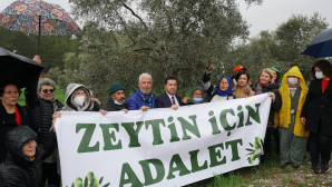 ZEYTİNLİK DÜZENLEMESİ YARGIYA TAŞINDI