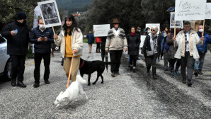 KÖPEK ASANLARA TEPKİ YÜRÜYÜŞÜ