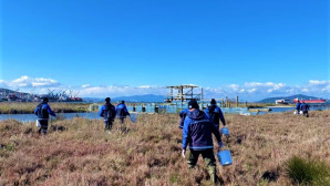 Milas’ta Vektörle Mücadele