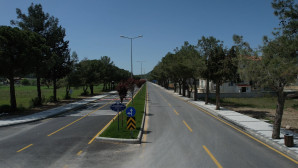 Ula’da Ağaçlandırma Çalışmaları Tamamlandı