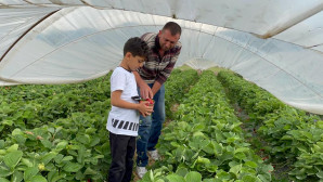 “Köyceğiz çileğini dünya markası haline getirebiliriz”