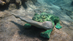 BODRUM’DAKİ SUALTI SERGİSİ KARADA SERGİYE HAZIR