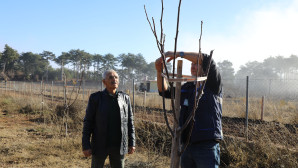 Büyükşehir den Tarıma Destek