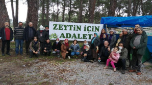 CHP MİLLETVEKİLİ  ERBAY “ZEYTİN KAZANDI”