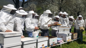 Muğla Balcılığına Büyükşehir’den Destek