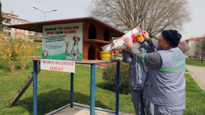 SOĞUK HAVALARDA CAN DOSTLARININ YANINDA