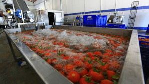 Muğla’nın Ürünlerine Değer Katan Tesis