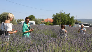 Lavanta Bahçesi’ne Ziyaretçi Akını