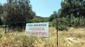 “Akbelen Ormanlarını yok eden zihniyet  şimdi gözünü  Bodrum Kızılağaç Ormanlarına dikti“